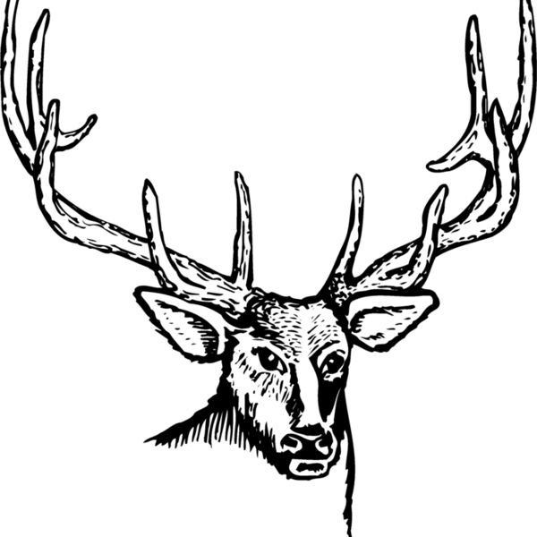 DEER007 Thumbnail