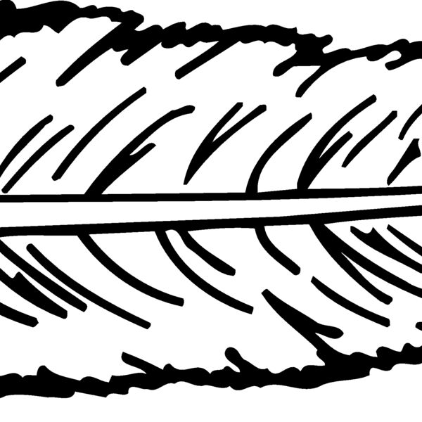 FEATHER Thumbnail
